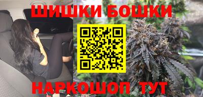 СК Обь