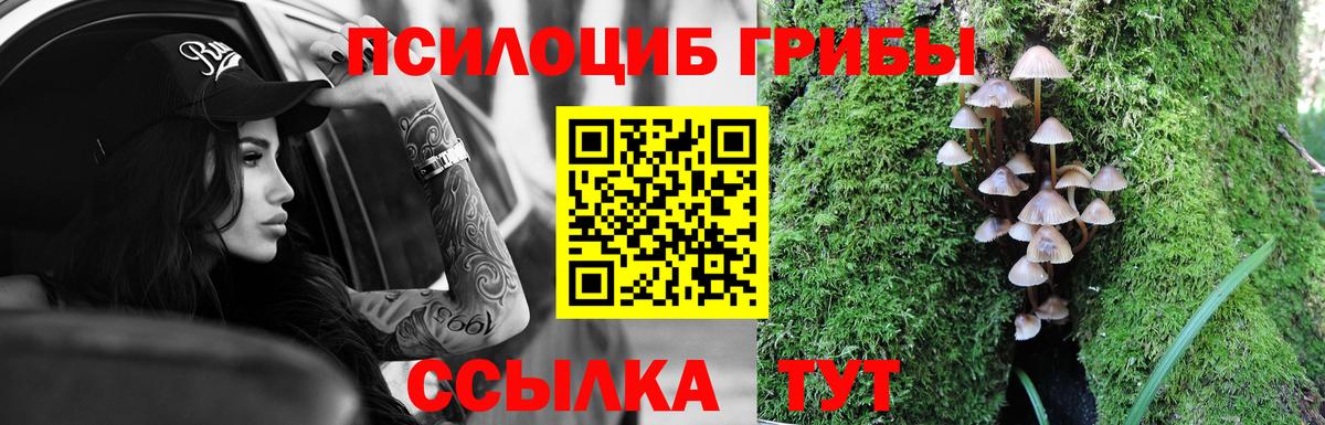 Псилоцибиновые грибы мухоморы  где найти наркотики  Вход с VPN  Улан-Удэ  Галлюциногенные грибы Psilocybine cubensis 