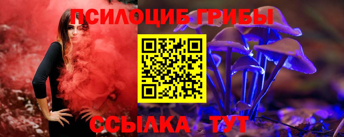 Псилоцибиновые грибы мухоморы Улан-Удэ